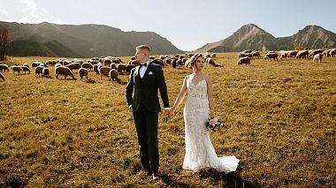 Videographer PSPHOTO Studio from Nysa, Poland - Ewelina&Aleksander | Wedding Story, reporting, wedding