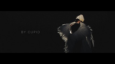 Videograf Alex Cupid din Bel Aire, Ucraina - On the wings of Love., nunta