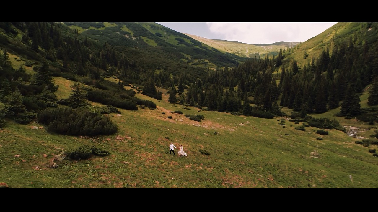 Wedding video. We found love.