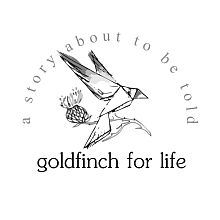 Videographer goldfinch for life