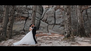 来自 利沃夫, 乌克兰 的摄像师 Vasyl Leskiv - wedding clip, engagement, wedding