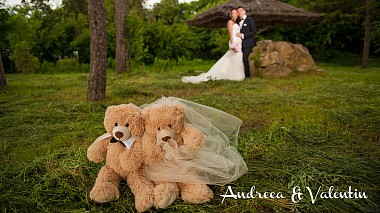 来自 巴克乌, 罗马尼亚 的摄像师 Ciprian Babusanu - Andreea & Valentin, wedding