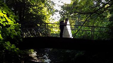 Videographer Tihomir Nikolov - Nikolov studio from Sofia, Bulgaria - Tsvetelina & Daniel, wedding