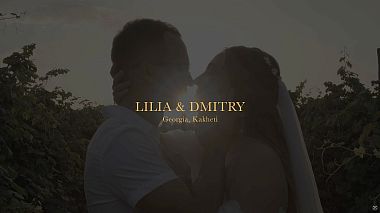 来自 多伦多, 加拿大 的摄像师 Dmitry Zheleznyy - Dmitry & Lylia - Highlights, wedding