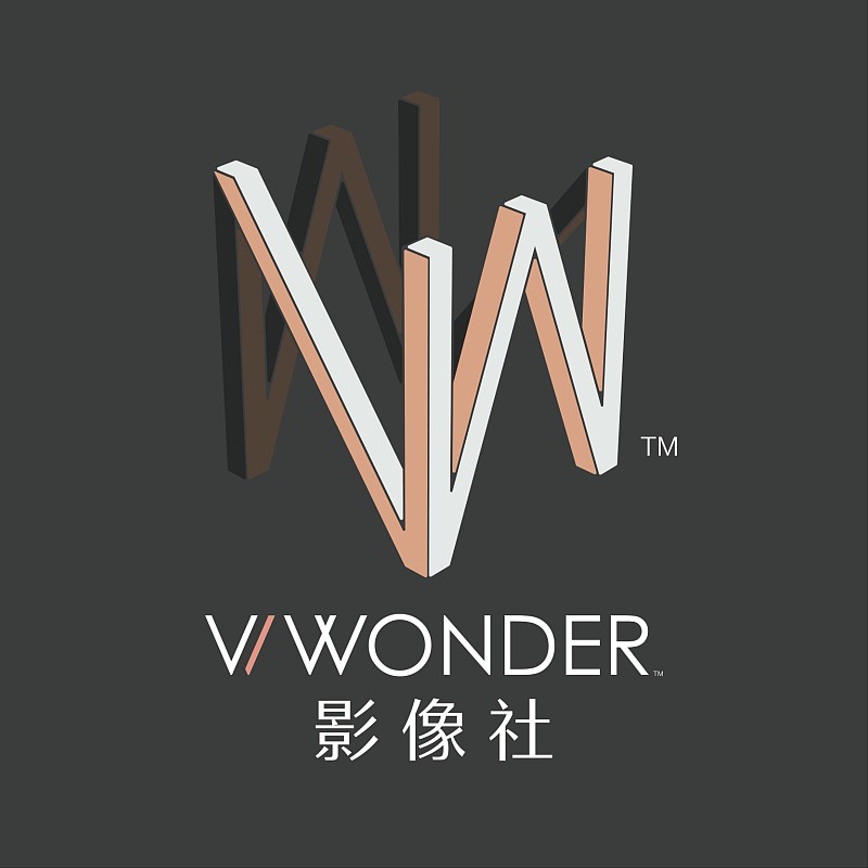 Видеограф VWONDER