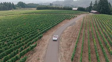 Wedding teaser | Kate & David, wedding