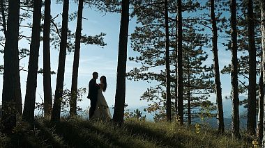 Videographer Bane Kljajic from Podgorica, Montenegro - T & S Wedding film, wedding