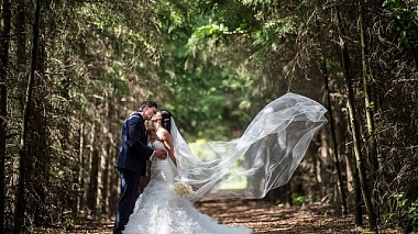Videógrafo Yuri Rabin de Toronto, Canadá - Nataliya & David Wedding Highlights, SDE, anniversary, event, showreel, wedding