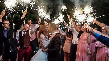 Видеограф Alexander Trofimov, Орел, Русия - Sparks of Joy, wedding