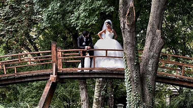 来自 贝尔格莱德, 塞尔维亚 的摄像师 Aleksandra Aleksic - Sanja & Darko | Banket sala HOTEL JUGOSLAVIJA, wedding