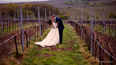 Videographer Kurt Neubauer from Prague, Tchéquie - V&H Wedding Trailer, wedding