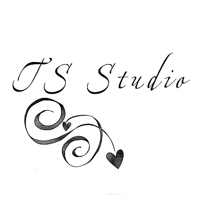 Studio TS Studio