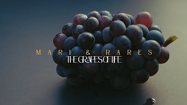 Videograf Bogdan Damian din Bacău, România - MARI & RARES - THE GRAPES OF LIFE(teaser), nunta