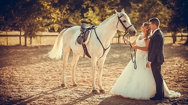 Videographer László Tarnai from Sopron, Maďarsko - Girl with Horses and her Chevalier - Adri & Zsolti - The Wedding Highlights, SDE, anniversary, engagement, event, wedding