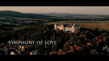 Videographer OMEGA Studio from Odessa, Ukraine - Symphony of love, wedding