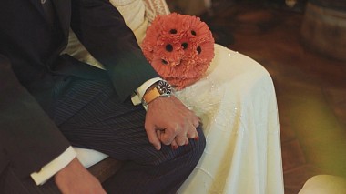 Videógrafo Carlos Espinoza de Santiago, Chile - Trailer Paula+Joaquín, engagement, wedding