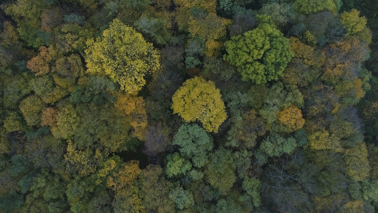 Wedding cinematic reel