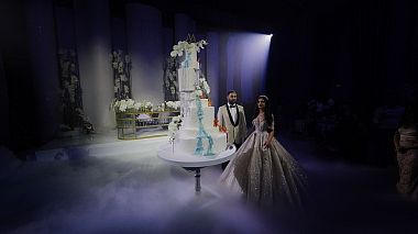 Видеограф STEP - WEDDING, Краснодар, Россия - Artem & Alina, SDE wedding clip, SDE, аэросъёмка, свадьба