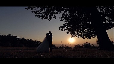 Videographer Dragos Pascal đến từ Madalina & Andrei Wedding Day, wedding