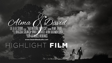 Відеограф LeeandLee Studio - Dragisha Stojnich, Прієдор, Боснія і Герцеговина - Alma & David Wedding Highlight Film | Wedding in Switzerland, wedding
