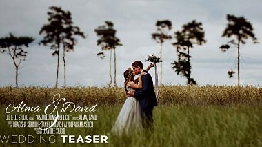 Filmowiec LeeandLee Studio - Dragisha Stojnich z Prijedor, Bośnia i Hercegowina - Alma & David Wedding Teaser | Switzerland, wedding