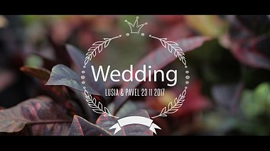 Videographer Roman Brega from Saint-Pétersbourg, Russie - Pavel & Ludmila | Distant Love, wedding