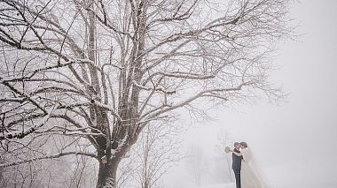 Filmowiec Andreas Schwarzenberger z Reutlingen, Niemcy - Winter Dream, SDE, wedding
