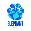 Videographer Elephant Cine